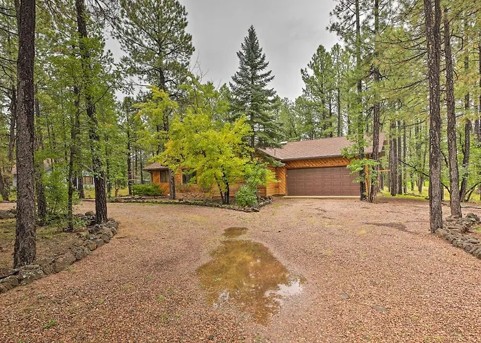 Wooded Yard, Gas Grill: Lush Retreat Holiday home