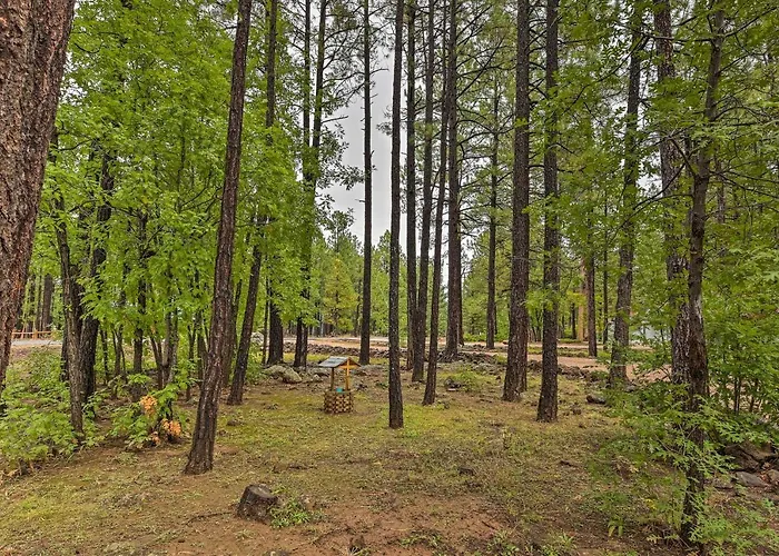 Wooded Yard, Gas Grill: Lush Retreat *