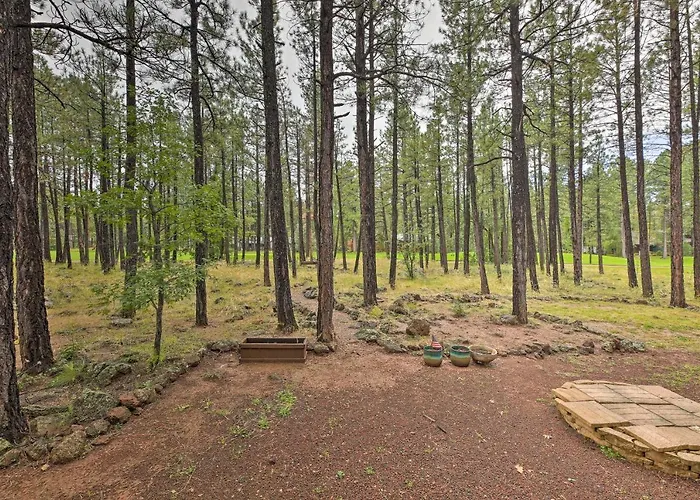 Wooded Yard, Gas Grill: Lush Retreat Holiday home
